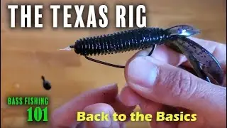 Bass Fishing 101 -  The Texas Rig