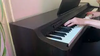 The 10th Doctors Theme ~ Doctor Who ~ Murray Gold (Piano Cover)