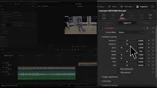 davinci: make a cropped reframe picture in picture window effects - open fx transform usage.