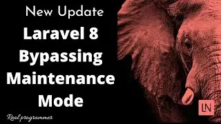 Laravel 8 Bypassing Maintenance Mode