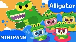 Alligator Song | Miniforce | Nursery rhymes | Animal Songs | Mini-Pang TV Kids Song