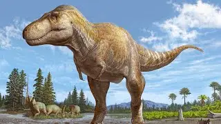 How Animals Became Extinct😳