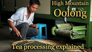 High Mountain Oolong: the most insane tea ever made