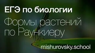 Жизненные формы растений по Раункиеру | Биология ЕГЭ