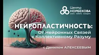 Открытый вебинар с Данилом Алексеевым Нейропластичность: От Нейронных Связей к Коллективному Разуму