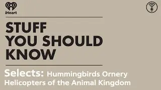 Selects: Hummingbirds: Ornery Helicopters of the Animal Kingdom | STUFF YOU SHOULD KNOW