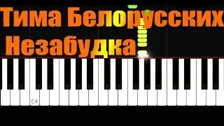 Тима Белорусских  - Незабудка - Piano Tutorial by VN (Easy)