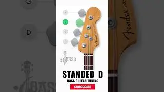 How To Tune a Bass Guitar (Stranded D - 4 Strings) By @ChamisBass | @fender   #chamisbass  #shorts