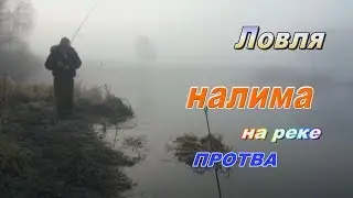 Рыбалка на реке Протва#7.Где и как поймать рыбу.Ловля налима.Как его поймать осенью.Налим в ноябре.