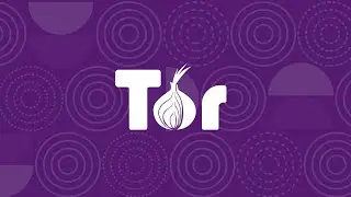 How to install Tor Bowser (Windows 10/11)