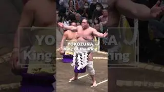 Yokozuna, the Pinnacle of Sumo