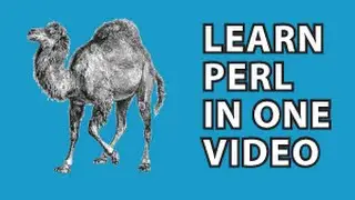 Perl Tutorial