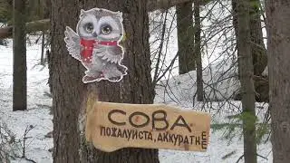 Субботний ПВД по тропе Васильховой, да с сосисками.