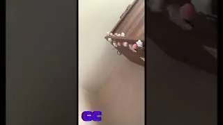 5 Minutes of Girls Farting (Girl Fart Compilation)