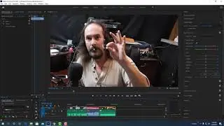 Adobe Premiere Pro - Copying attributes from one video and pastes to another