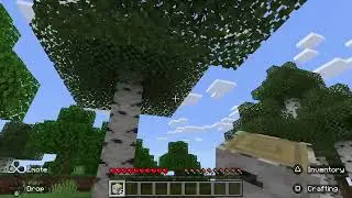 Minecraft_20241102182551