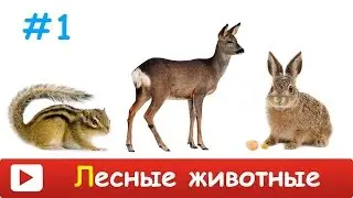 [ ЛЕСНЫЕ ЗВЕРИ для ДЕТЕЙ ] Развивающий МУЛЬТИК для ДЕТЕЙ - лесные ЖИВОТНЫЕ. Как говорят животные.