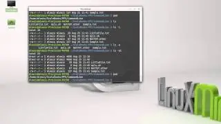 Directories and Navigation (Command Line)