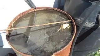 Азотное голодание
