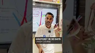 Anatomy In 20 Days Crash Course With 3D Model and Notes #shorts #mbbs