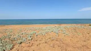 Serene Sleep on the Seashore, the Sound of Waves and Birdsong