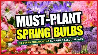 ✨ 10 Spring Bulbs for Show-Stopping Summer & Fall Flowers! 🌞 PLANT NOW, BLOOM LATER! 🌼