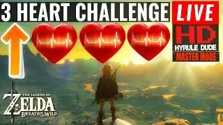 Breath of the Wild Master Mode 3 Heart Challenge - Hyrule Dude