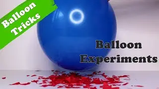 Static Electricity Experiment with Balloon | Balloon Trick | Fundoor Amaze #Shorts