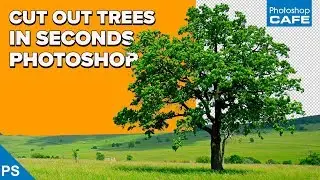 INSTANTLY CUT OUT TREES in PHOTOSHOP | Channel based selections