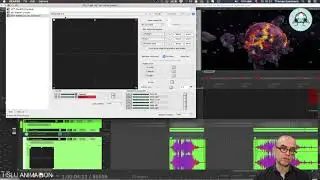 Reaper Tutorial 4j - Rea Surround LFE and further Tricks