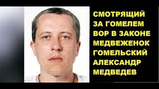Медвежонок Гомельский . Смотрящий за Гомелем—Вор в законе