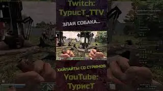 Злая собака... @TypucT #7daystodie #7dtd #shorts #стример #игры #баги #фейлы #приколы