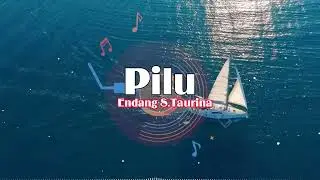 Endang S  Taurina - Pilu