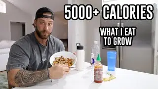 FULL DAY OF EATING | BULKING EDITION