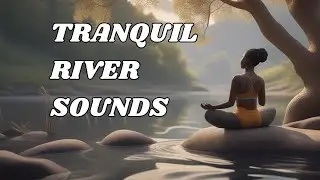 Healing Sounds of Nature: Tranquil Forest & River Ambience