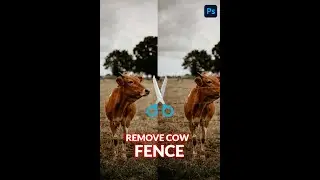 How to Remove cow fence 