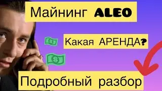 МАЙНИНГ ALEO ЧЕРЕЗ АРЕНДУ. ТЕСТИРУЕМ НОВЫЙ МАЙНИНГ. ПОЛУЧАЮ СРАЗУ USDT. НАСТРОЙКА В HIVE OS / ALEO