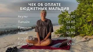 Кусаются ли акулы? 10 вопросов о бюджетных Мальдивах