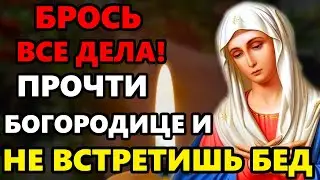 11 сентября ВКЛЮЧИ МОЛИТВУ БРОСЬ ВСЕ ДЕЛА И НЕ ВСТРЕТИШЬ БЕД Сильная Молитва Богородице! Православие