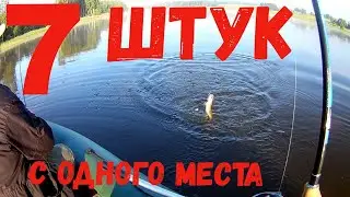 7 Щук С Одного Места. Ловля щуки с лодки на плотине на вертушку.