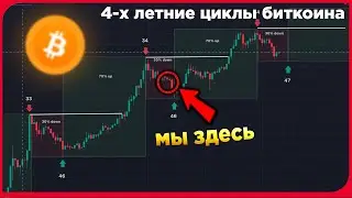 4-х летние циклы биткоина | где мы?