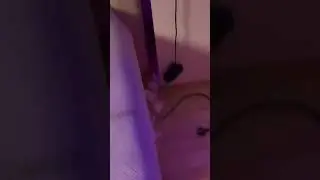 Разоблачение Даши Вэлл! ￼
