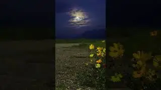 Beautiful Calm Night With FULL MOON VIEW