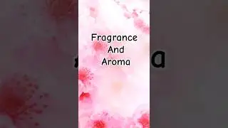 Difference between fragrance and aroma #ytshorts #youtubeshorts  #themodernlearning #englishgammar