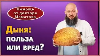 Раскрываем тайны о дыне: что происходит с организмом при ее употреблении.  Доктор Алексей Маматов