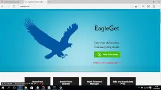 How To Install Eagleget In Windows 10