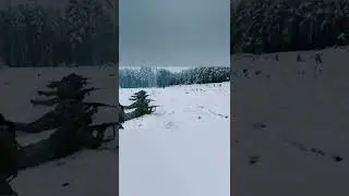 ukrainian soldiers 🇺🇦