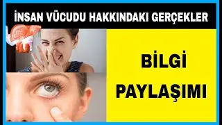 İnsan Vücudu Hakkında Gerçekler - İnsan Vücudunun Bilmedeğiniz Yaptığı 8 Harika Şey