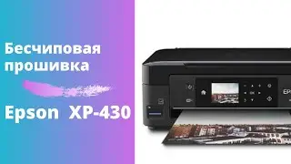 Бесчиповая прошивка Epson XP-430 | Видеоинструкция