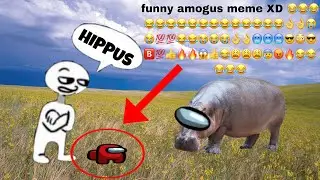 hippopotamusus (idk how to spell)